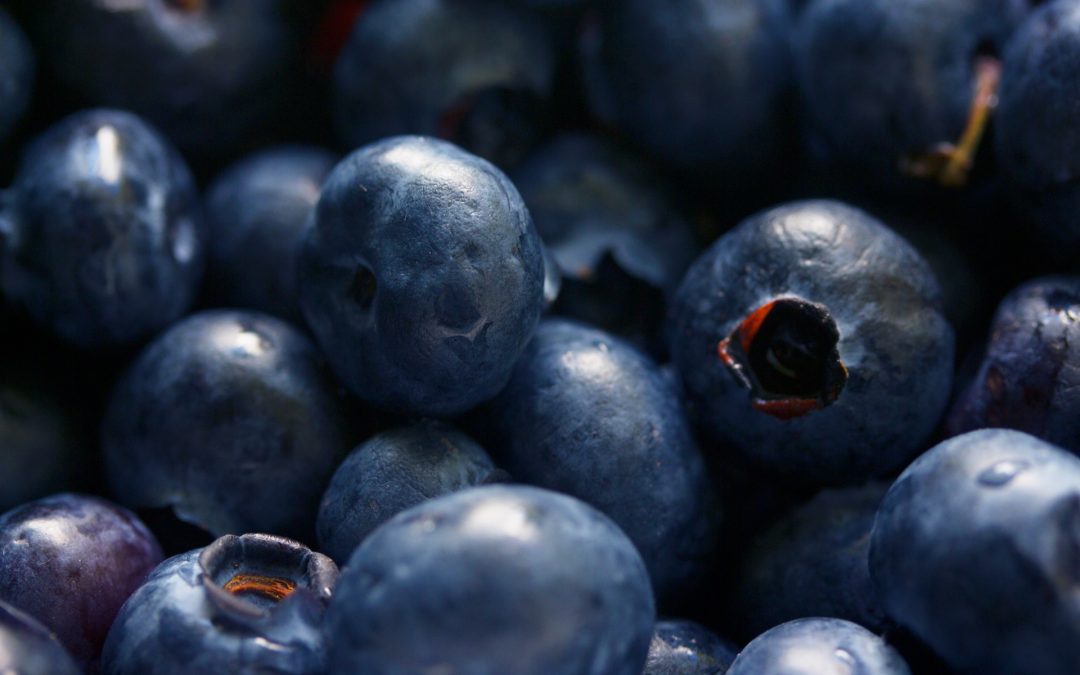 Foods That Can Help Boost Your Immune System